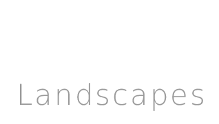 G & D Logo No Icon